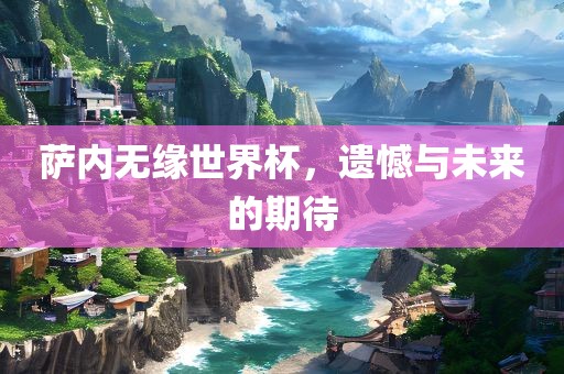 萨内无缘世界杯，遗憾与未来的期待