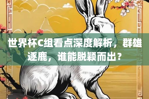 世界杯C组看点深度解析，群雄逐鹿，谁能脱颖而出？