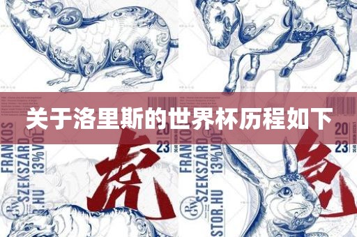 关于洛里斯的世界杯历程如下