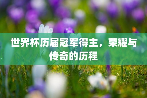 世界杯历届冠军得主，荣耀与传奇的历程