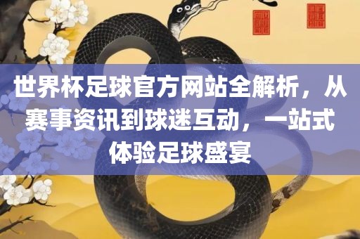 世界杯足球官方网站全解析，从赛事资讯到球迷互动，一站式体验足球盛宴