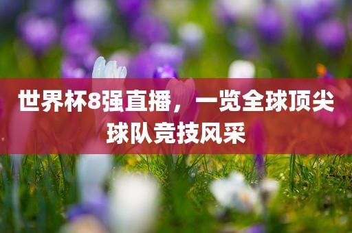 世界杯8强直播，一览全球顶尖球队竞技风采