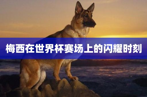 梅西在世界杯赛场上的闪耀时刻