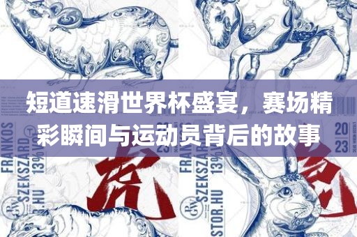 短道速滑世界杯盛宴，赛场精彩瞬间与运动员背后的故事
