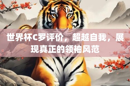 世界杯C罗评价，超越自我，展现真正的领袖风范
