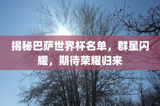 揭秘巴萨世界杯名单，群星闪耀，期待荣耀归来