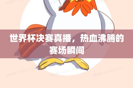世界杯决赛真播，热血沸腾的赛场瞬间