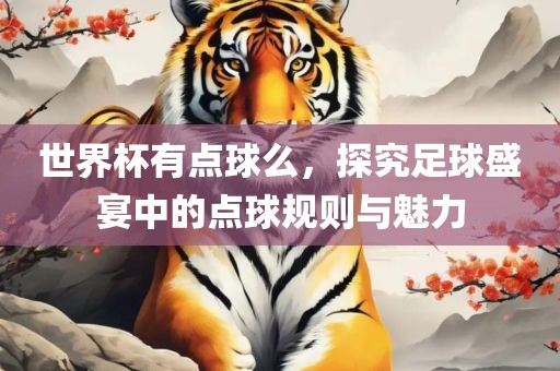 世界杯有点球么，探究足球盛宴中的点球规则与魅力