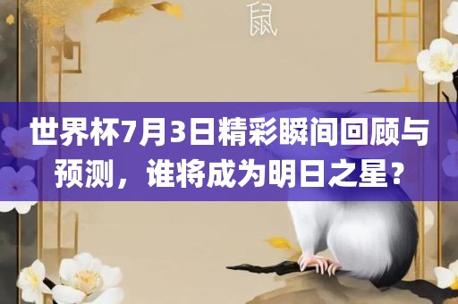 世界杯7月3日精彩瞬间回顾与预测，谁将成为明日之星？