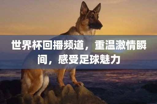 世界杯回播频道，重温激情瞬间，感受足球魅力