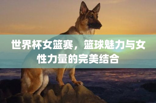 世界杯女篮赛，篮球魅力与女性力量的完美结合