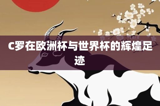 C罗在欧洲杯与世界杯的辉煌足迹