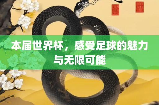本届世界杯，感受足球的魅力与无限可能