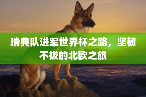 瑞典队进军世界杯之路，坚韧不拔的北欧之旅
