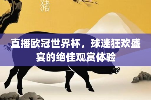 直播欧冠世界杯，球迷狂欢盛宴的绝佳观赏体验