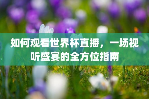 如何观看世界杯直播，一场视听盛宴的全方位指南