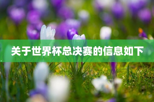 关吉安市靖泰电力工程有限公司于世界杯总决赛的信息如下
