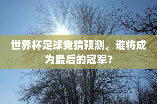 世界杯足球竞猜预测，谁将成为最后的冠军？
