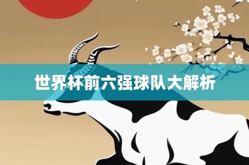 世界杯前六强球队大解析