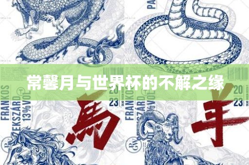 常馨月与世界杯的不解之缘