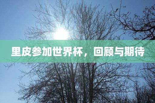 里皮参加世界杯，回顾与期待