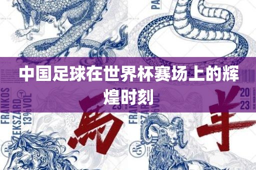 中国足球在世界杯赛场上的辉煌时刻