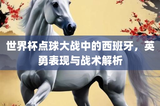 世界杯点球大战中的西班牙，英勇表现与战术解析