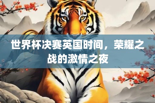 世界杯决赛英国时间，荣耀之战的激情之夜