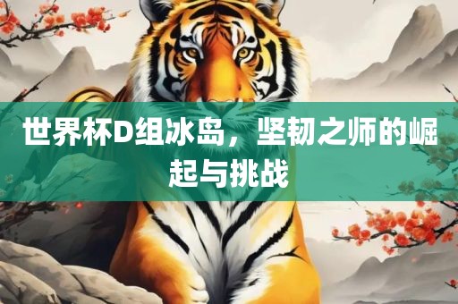 世界杯D组冰岛，坚韧之师的崛起与挑战