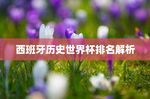 西班牙历史世界杯排名解析