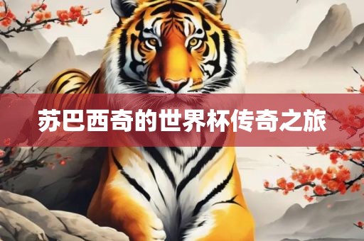 苏巴西奇的世界杯传奇之旅