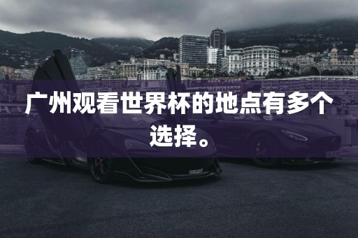 广州观看世界杯的地点有多个选择。