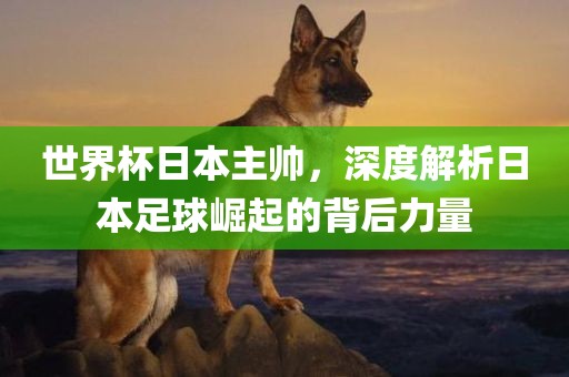 世界杯日本主帅，深度解析日本足球崛起的背后力量