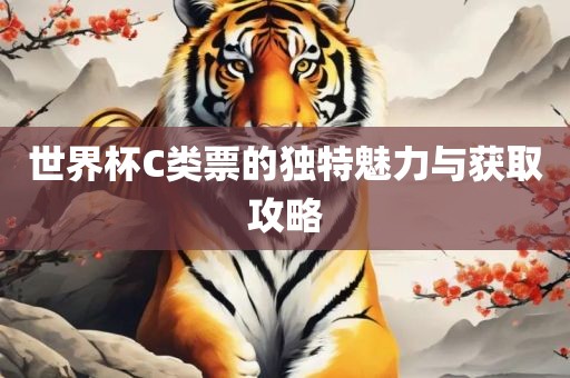世界杯C类票的独特魅力与获取攻略
