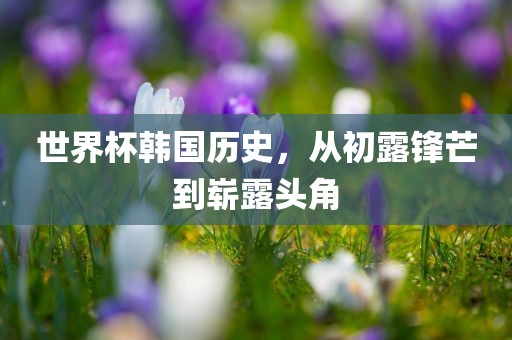世界杯韩国历史，从初露锋芒到崭露头角