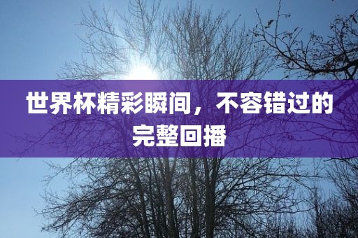 世界杯精彩瞬间，不容错过的完整回播