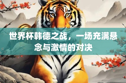 世界杯韩德之战，一场充满悬念与激情的对决