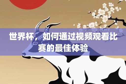 世界杯，如何通过视频观看比赛的最佳体验
