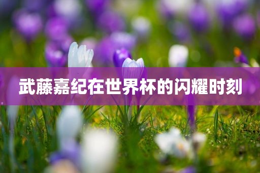 武藤嘉纪在世界杯的闪耀时刻