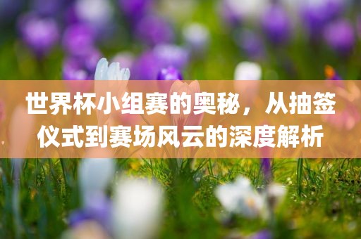 世界杯小组赛的奥秘，从抽签仪式到赛场风云的深度解析