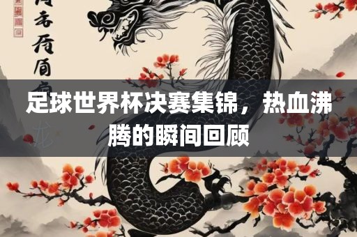 足球世界杯决赛集锦，热血沸腾的瞬间回顾