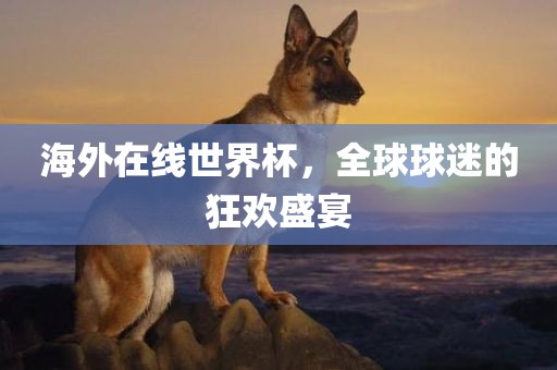 海外在线世界杯，全球球迷的狂欢盛宴