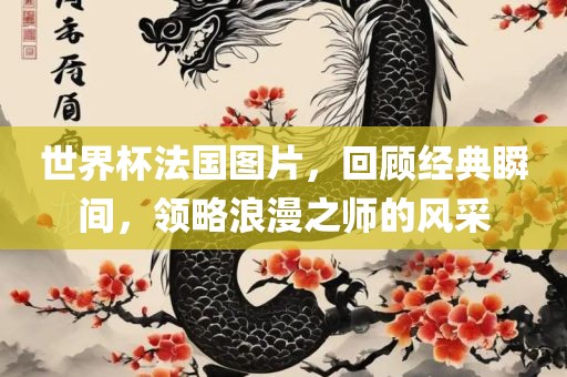 世界杯法国图片，回顾经典瞬间，领略浪漫之师的风采
