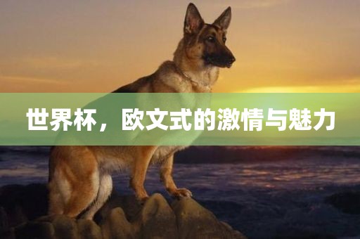世界杯，欧文式的激情与魅力