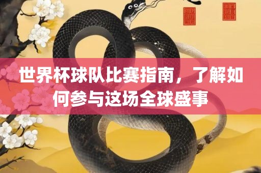世界杯球队比赛指南，了解如何参与这场全球盛事