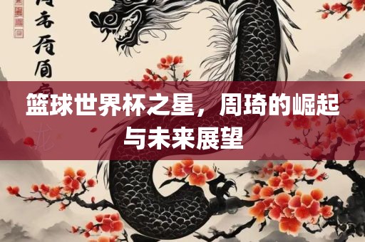 篮球世界杯之星，周琦的崛起与未来展望