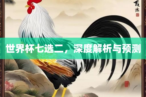 世界杯七选二，深度解析与预测