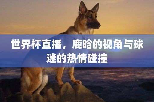 世界杯直播，鹿晗的视角与球迷的热情碰撞