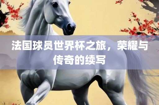 法国球员世界杯之旅，荣耀与传奇的续写