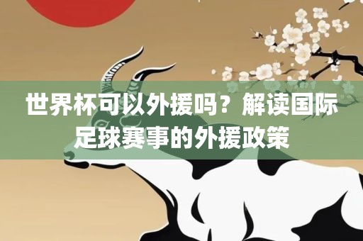世界杯可以外援吗？解读国际足球赛事的外援政策